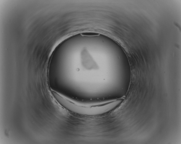 X0000090981530200708301237