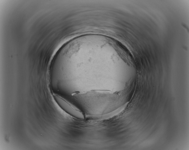 X0000090981531200708301237