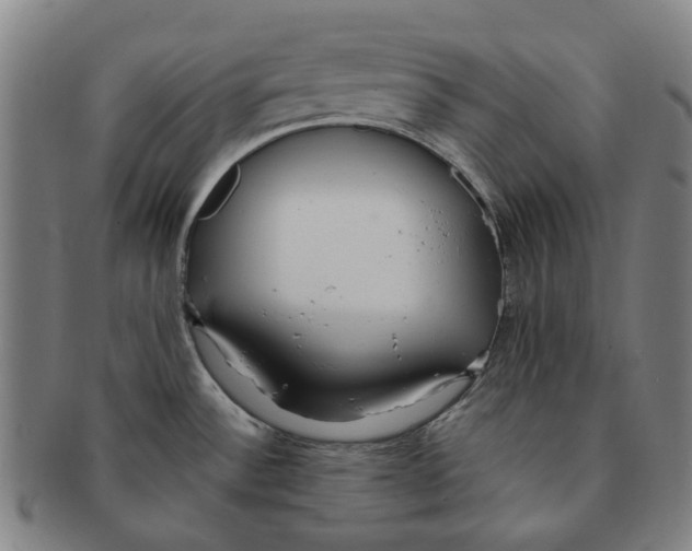 X0000090981532200708301237