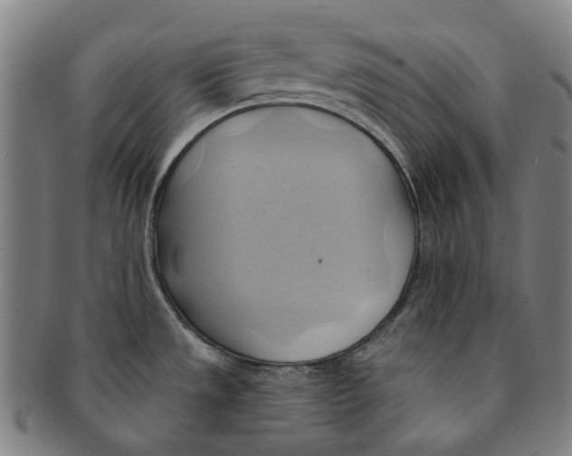 X0000090981533200708301237