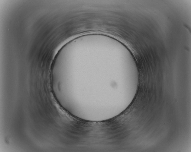 X0000090981534200708301237