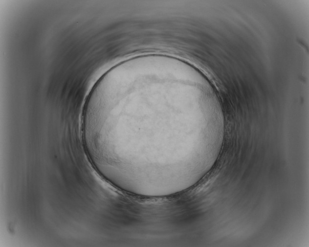 X0000090981535200708301237