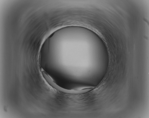 X0000090981536200708301237