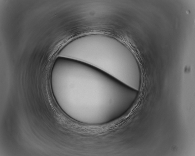 X0000090990001200708021213