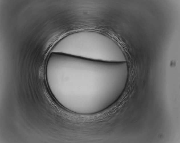 X0000090990002200708021213