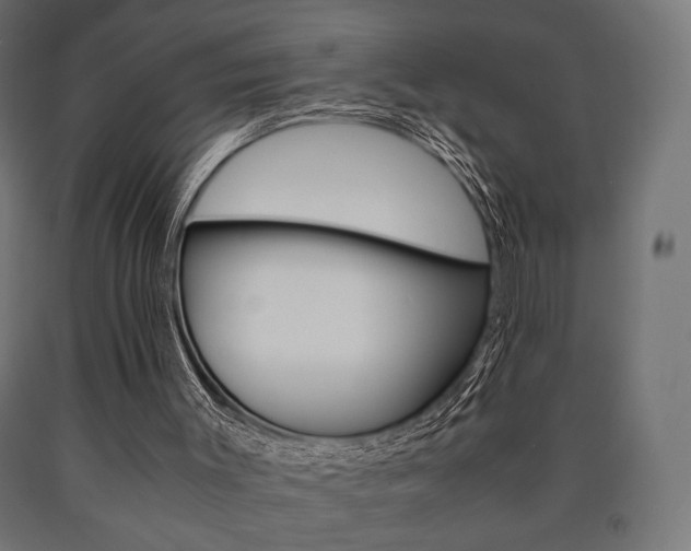 X0000090990003200708021213