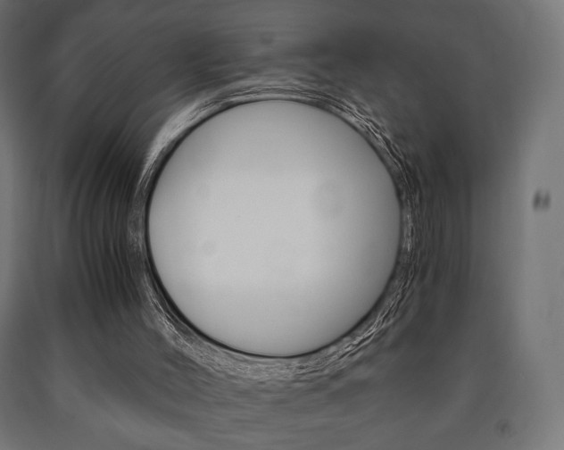 X0000090990004200708021213