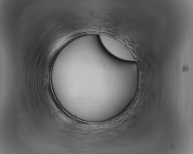 X0000090990005200708021213