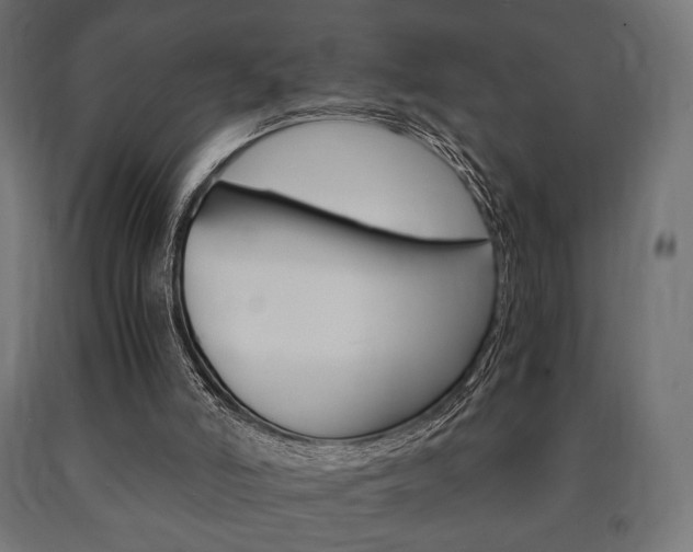 X0000090990006200708021213