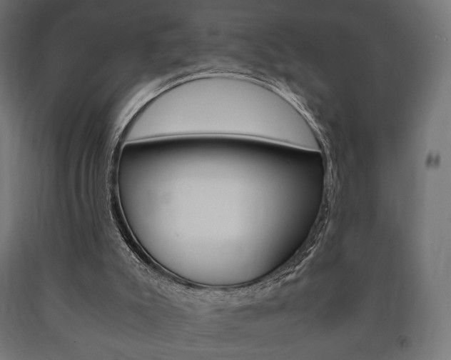 X0000090990007200708021213