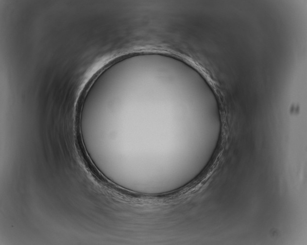 X0000090990008200708021213