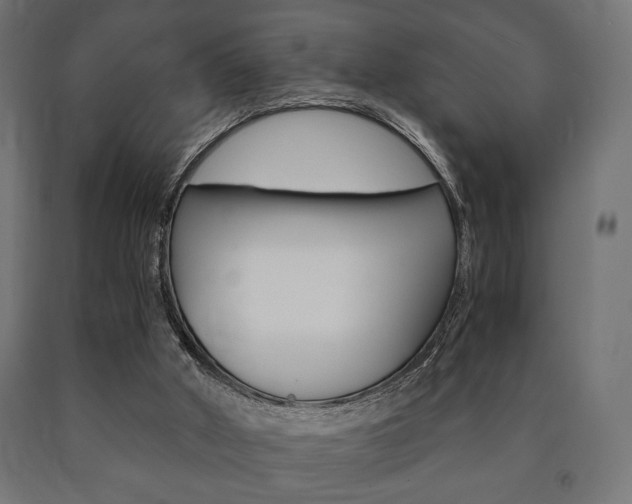X0000090990010200708021213