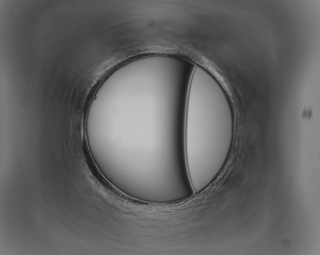 X0000090990011200708021213