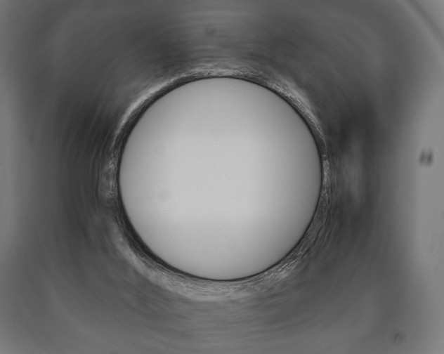 X0000090990012200708021213