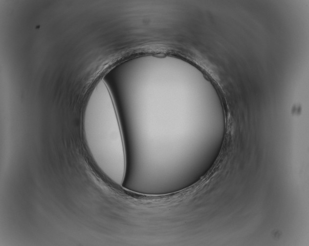X0000090990013200708021213
