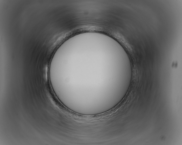X0000090990014200708021213