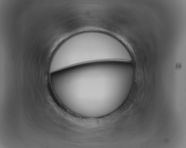 X0000090990015200708021213