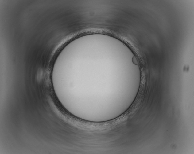 X0000090990016200708021213