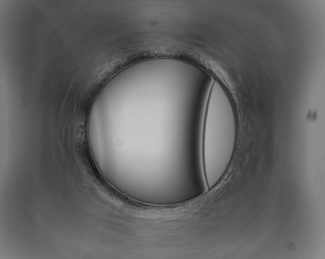 X0000090990017200708021213