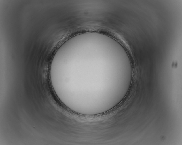 X0000090990018200708021213