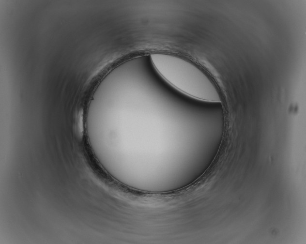 X0000090990020200708021213