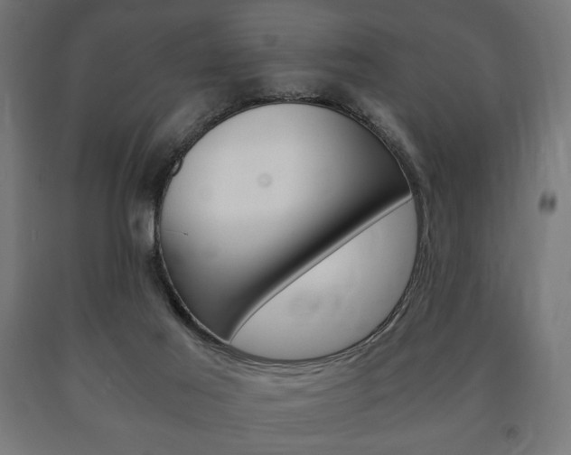 X0000090990021200708021213