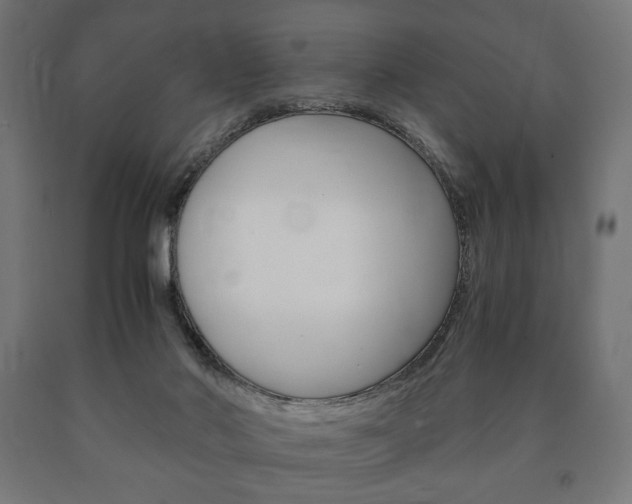 X0000090990022200708021213