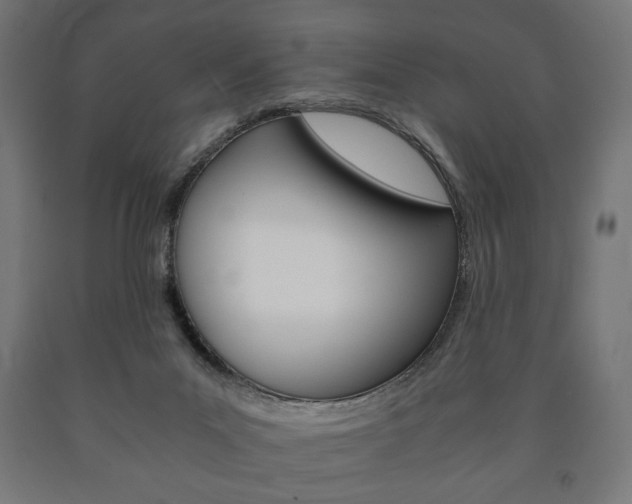 X0000090990023200708021213