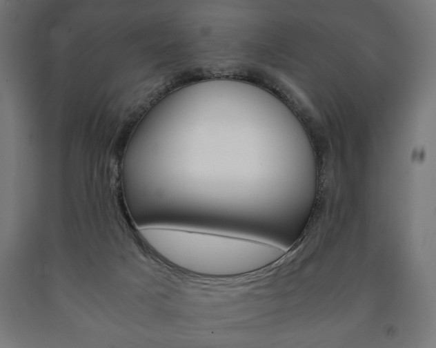 X0000090990025200708021213