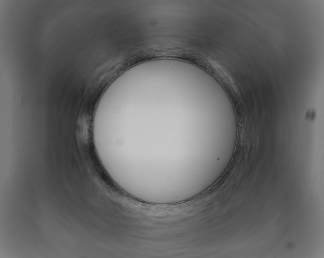 X0000090990026200708021213