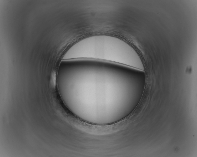 X0000090990027200708021213