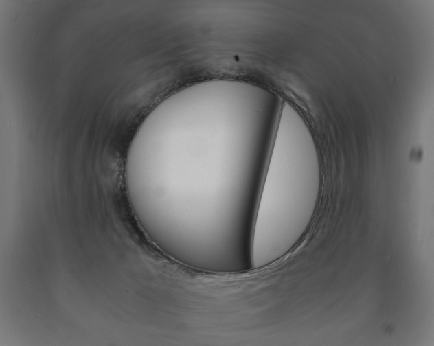 X0000090990029200708021213