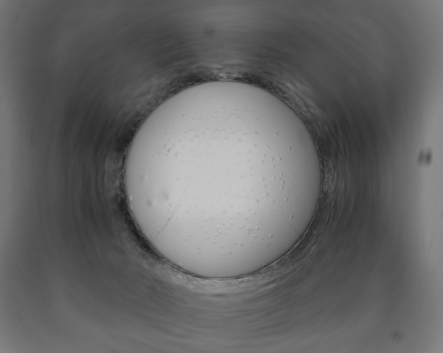 X0000090990030200708021213