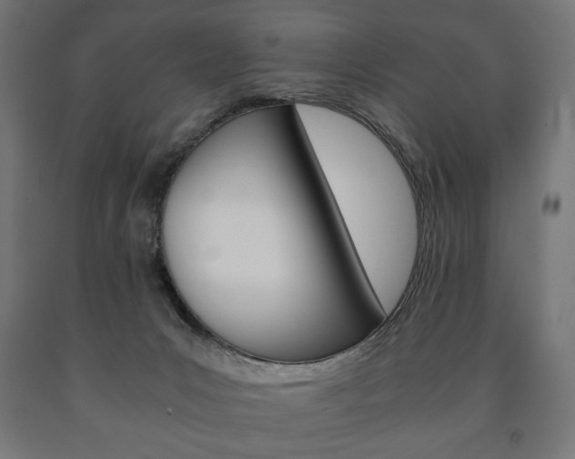 X0000090990031200708021213