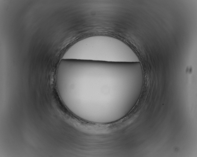 X0000090990032200708021213