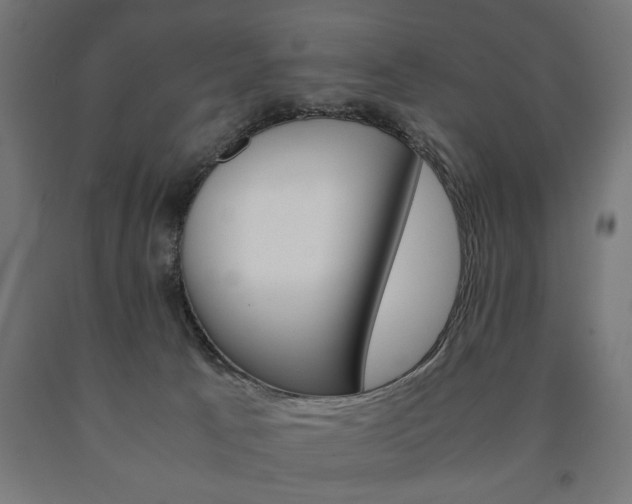 X0000090990033200708021213