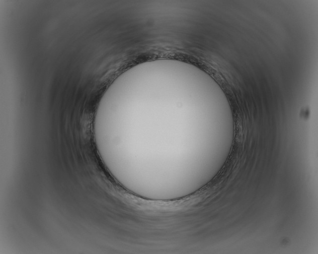 X0000090990034200708021213