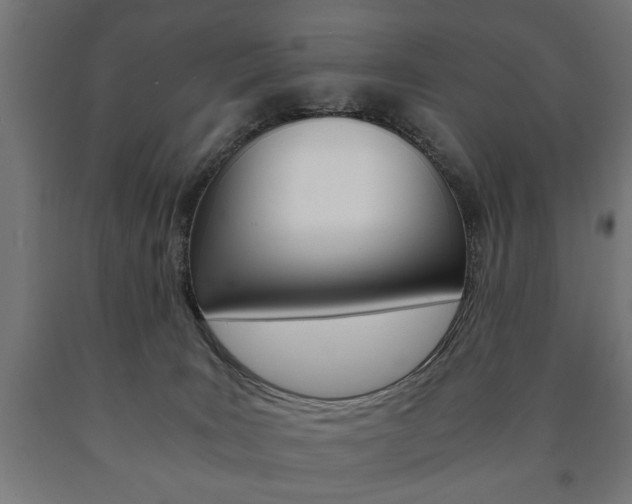 X0000090990035200708021213