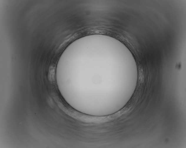 X0000090990036200708021213