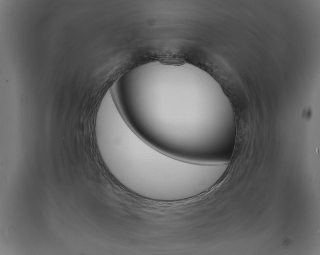 X0000090990037200708021213