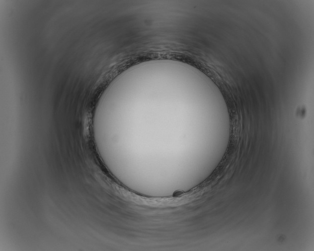 X0000090990038200708021213