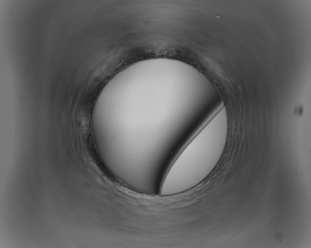 X0000090990039200708021213