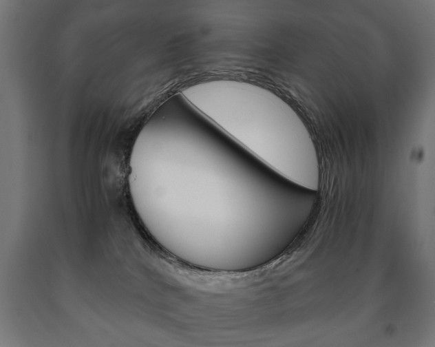 X0000090990040200708021213