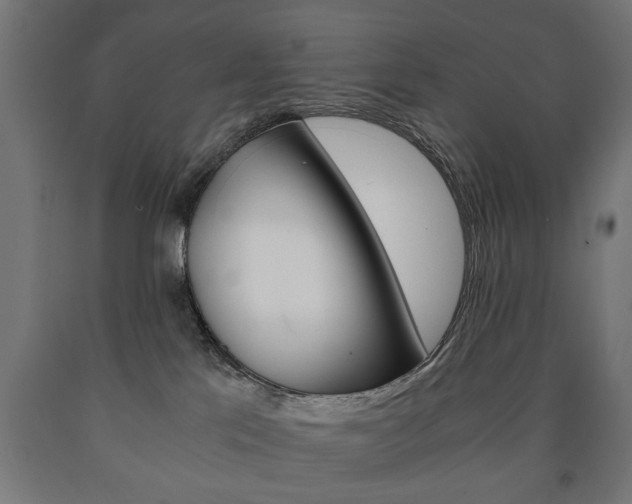 X0000090990041200708021213
