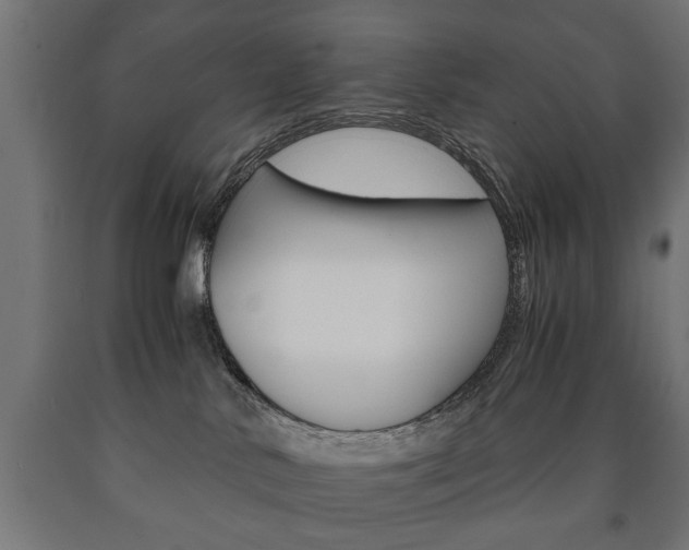 X0000090990042200708021213