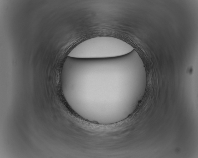 X0000090990043200708021213