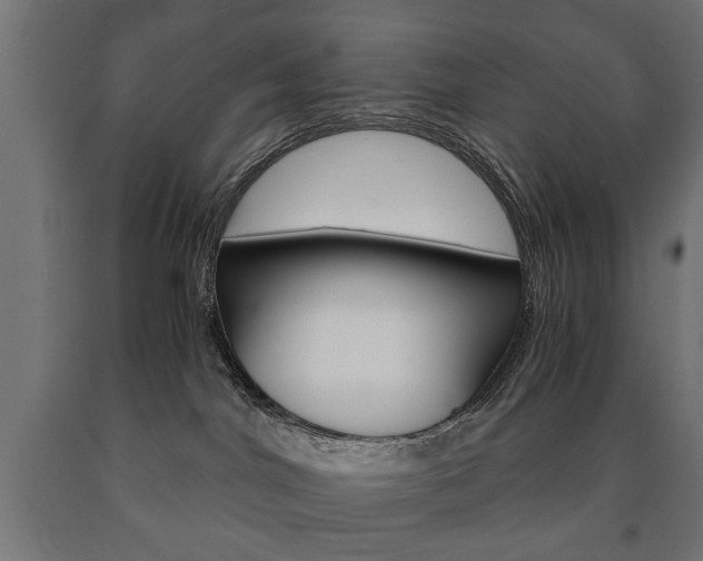 X0000090990044200708021213