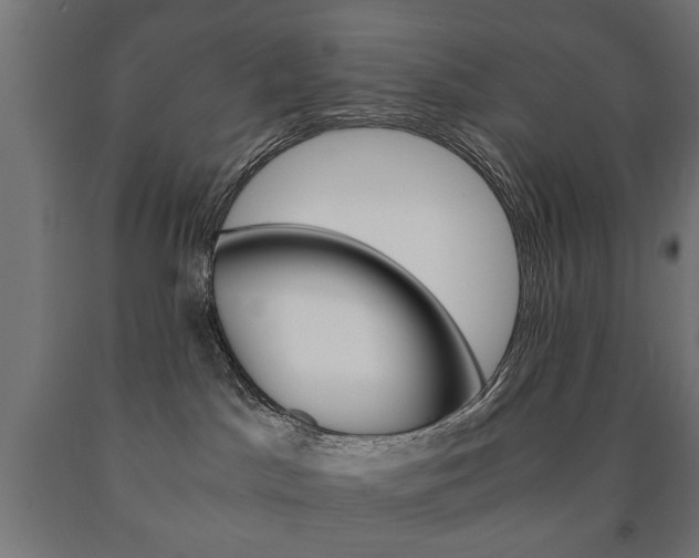 X0000090990045200708021213