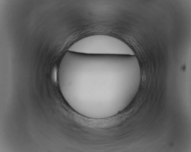 X0000090990046200708021213