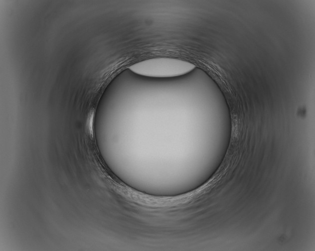 X0000090990047200708021213